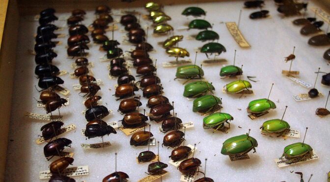 Visita a la Colección Zoológica Dr. Eustorgio Méndez.