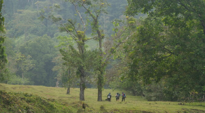 Reseña: Selva. Río Guanche. Salto de los Monos, ¡Extreme!